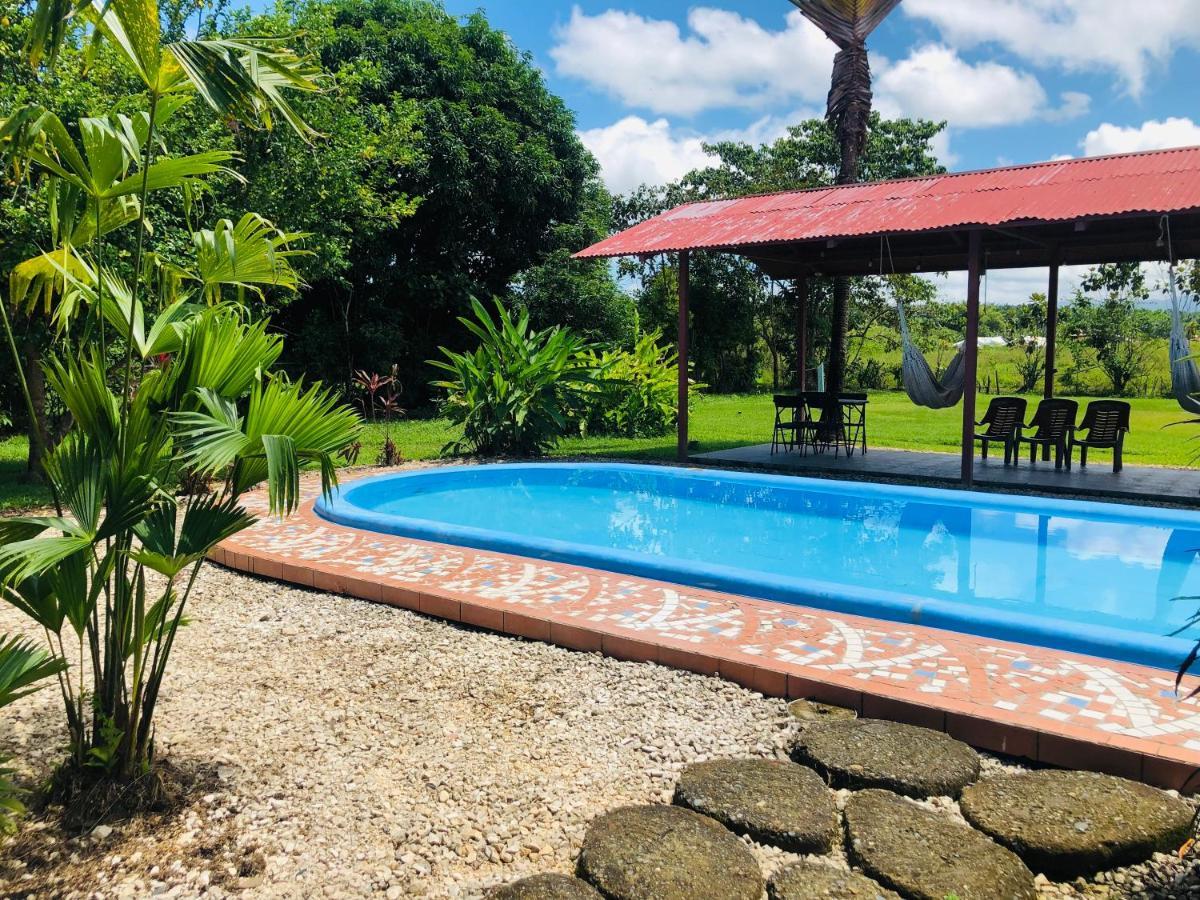 Hotel Cocodrilo Sierpe Exterior foto